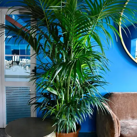 Portofino Hotel 3*